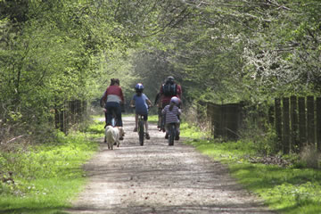 Forest of Dean Cycling Guide Map